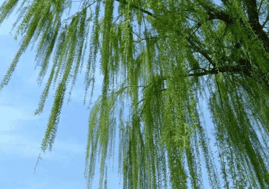 QQ截图20230905101134.png
