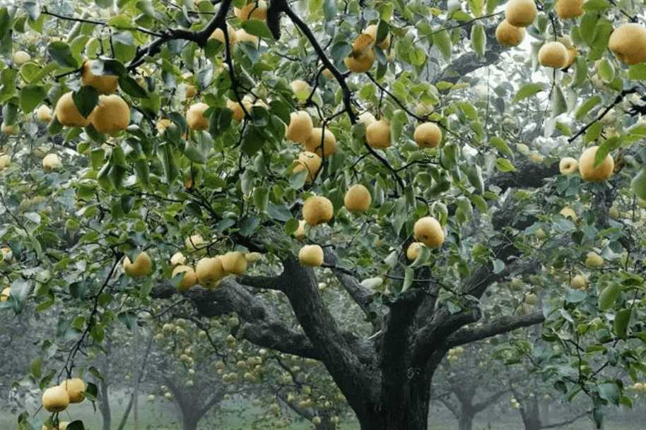 QQ截图20230911101350.png