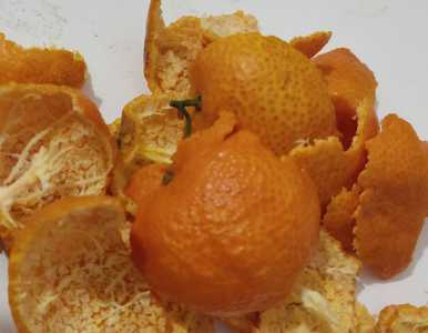 橘子皮适合养什么花