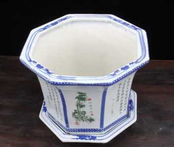 八角花盆适合养什么花