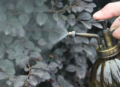 自来水可以浇菜吗