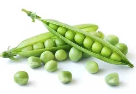 豌豆套种什么好