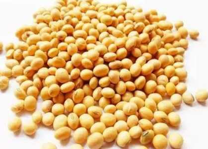 大豆种植时间和方法是什么