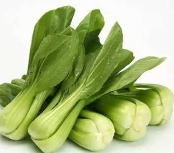 油菜枯可以种花吗