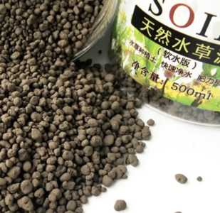 水草泥可以种花吗