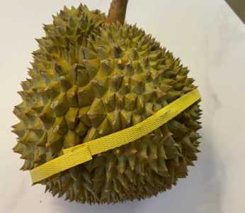 榴莲怎么挑才是最好的