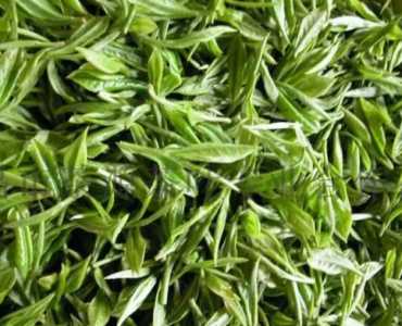 庐山产什么茶