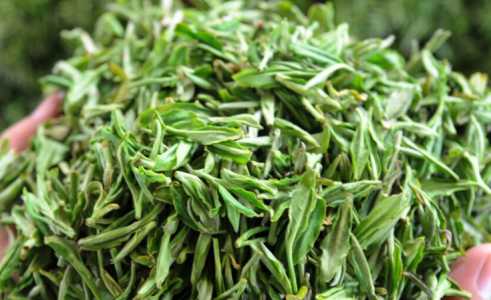 江西产什么茶