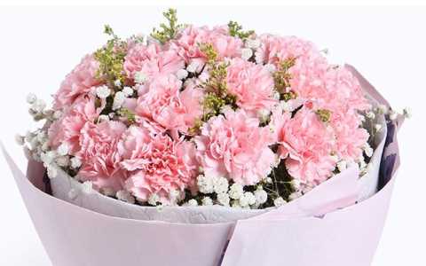 康乃馨花语代表什么