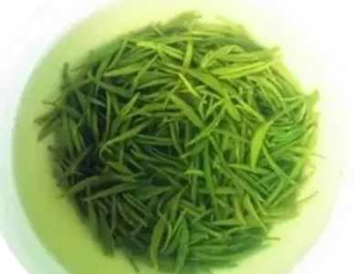 什么茶叶属于绿茶