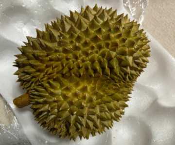 榴莲不熟打开了怎么催熟