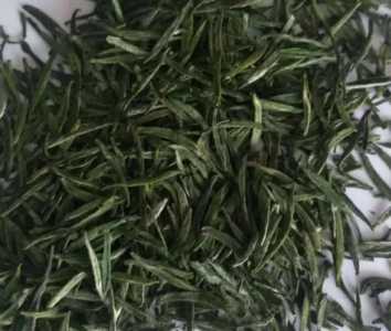 信阳毛尖是什么茶呢