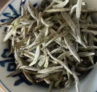 白茶的种类