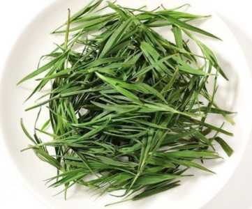 竹叶青是什么