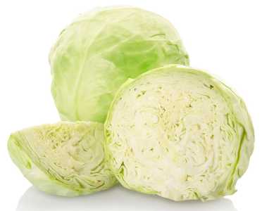 9月份适合种什么菜