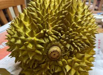 榴莲怎么选择
