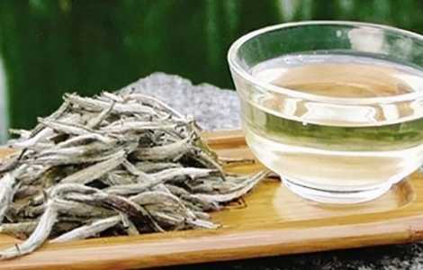 白茶是什么茶