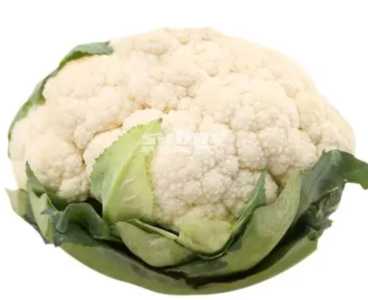 花菜适合什么季节种