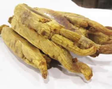 齐齐哈尔适合种什么药材