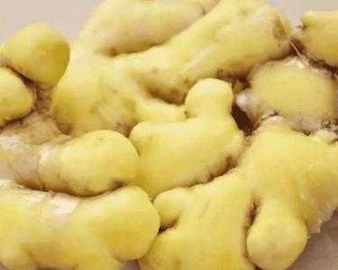 烟台蓬莱土地适合种什么