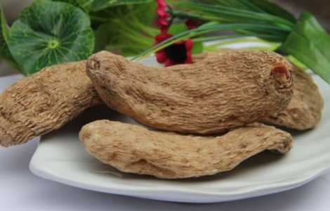 种天麻适合什么季节种呀