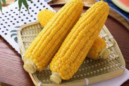 豫东适合种什么玉米种