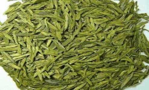 灌阳适合种什么茶叶品种