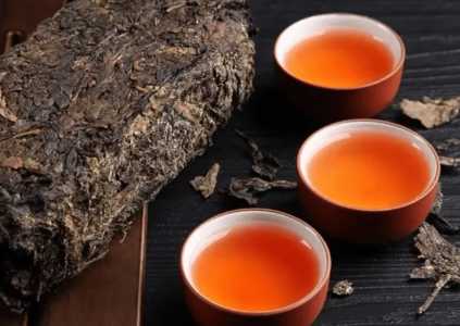 雷山适合种什么茶叶