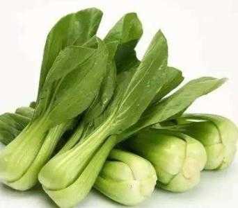 秋季适合种什么青菜