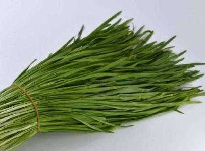 80岁适合种什么菜呢