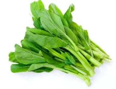 冷天适合种什么瓜果蔬菜