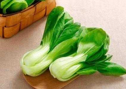 这段时间适合种什么青菜