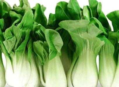 秋季天气适合种什么菜