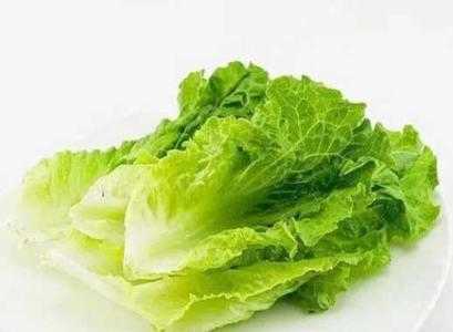请问现在适合种什么青菜