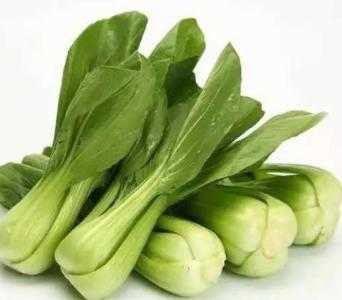 什么环境适合种油菜