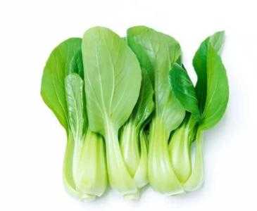 春天甘肃适合种什么菜种