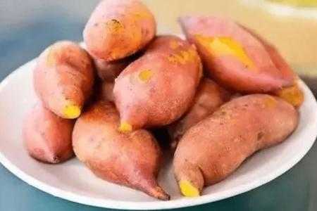 贵州修文适合种什么