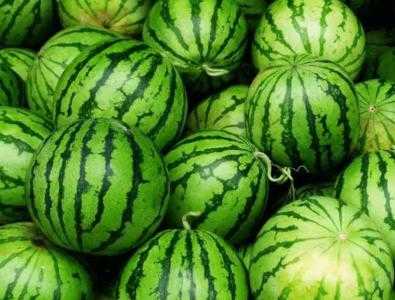 8月适合种什么水果