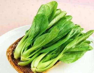 属牛人适合种什么蔬菜