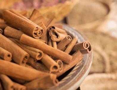 天津适合种什么肉桂