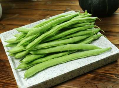 昆明适合种什么小菜
