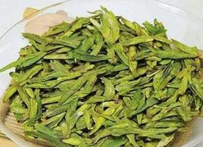 北方适合种什么茶