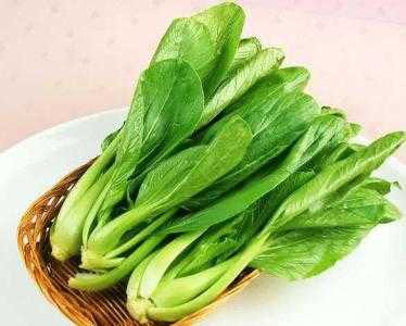 什么月适合种什么蔬菜