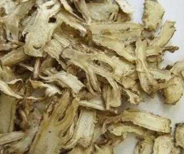 秦岭适合种什么药品
