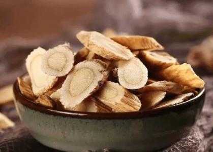 承德适合种什么药材