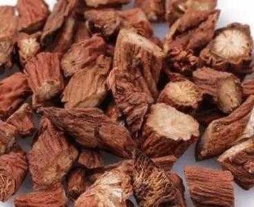 江苏适合种什么药材