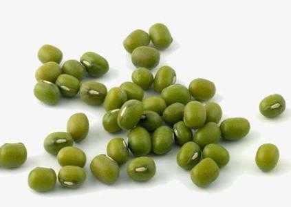 雨季适合种什么豆子