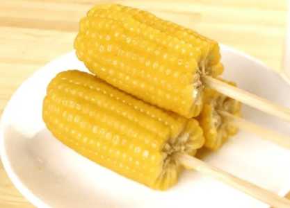 粘苞米什么适合种