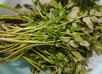 水淹适合种什么野菜
