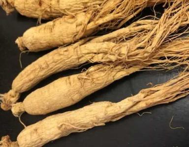 唐山适合种什么中草药